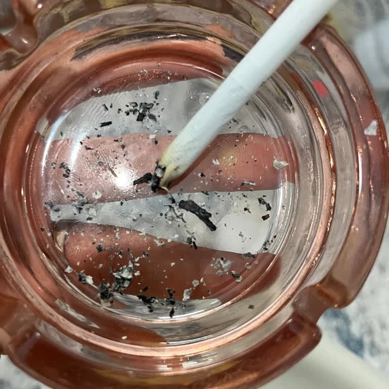 Sigara Paketlerinden Çıkan Dal Parçaları Sorunu