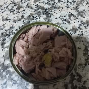 Fide Konserve Ton Balığı Konservesinde Şok Edici Buluntu