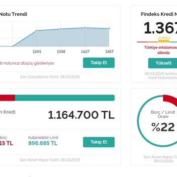 Kredi Puanı Düşüşünün Sebebi Nedir?
