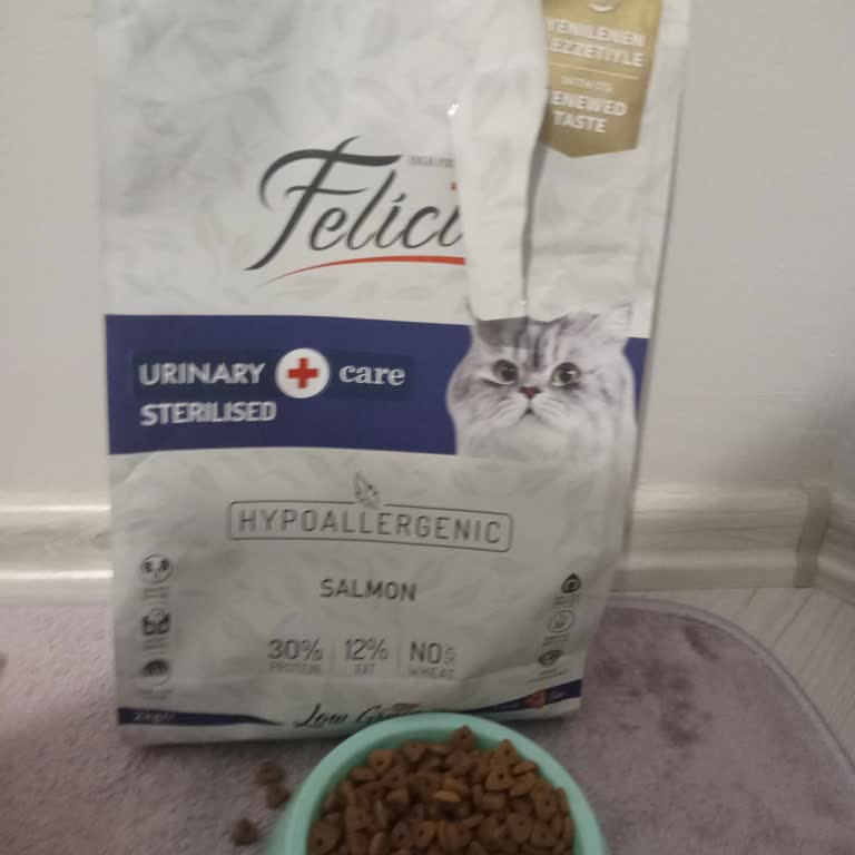 Kedi Maması Güven Sorunu: Bayat Veya Sahte Mi?