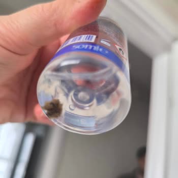 Hijyen Sorunu: Seyahat Boy Kolonyada Beklenmedik Kirlilik