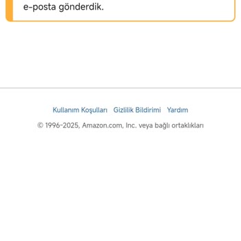 Hesaba Giriş Sorunu: Müşteri Hizmetlerinden Çözüm Yok