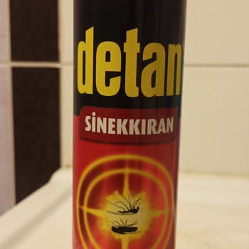 Eczacıbaşı Detan Sinek İlacı Etkisizliği