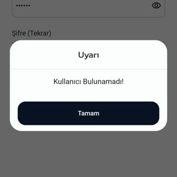 Giriş Problemi: Hesabım Tanınmıyor!