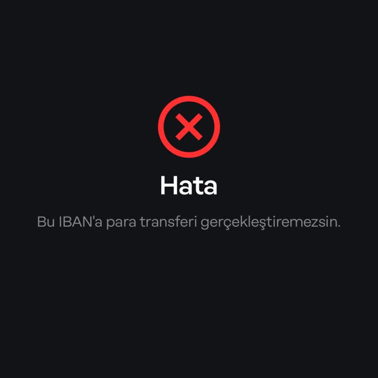 Papara'dan Başka Bankaya Transfer Sorunu