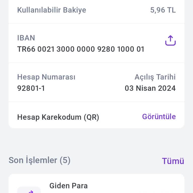 Hadi Uygulamasında Bakiyem Var Ama Kullanamıyorum!