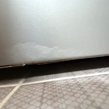 Siemens Çamaşır Makinesi İlk Yılda Paslandı