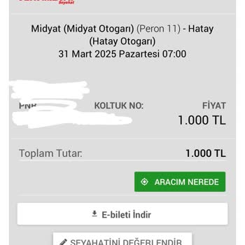 Yanıltıcı Yolculuk Süresi Ve Planlama Sorunu