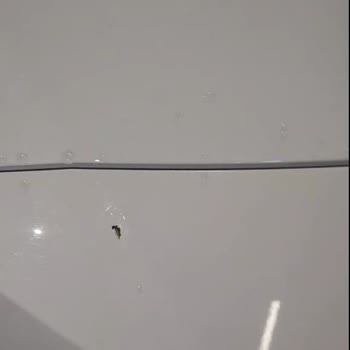Araç Teslimatında Yaşanan Sorunlar Ve Eksik Kayıtlar