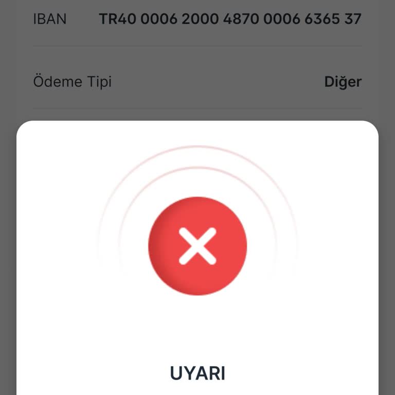 Kimlik Doğrulama Sorunu Ve Para Çekme Hatası