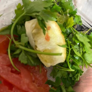 Kalitesiz Pide Ve Çürük Yeşillikler