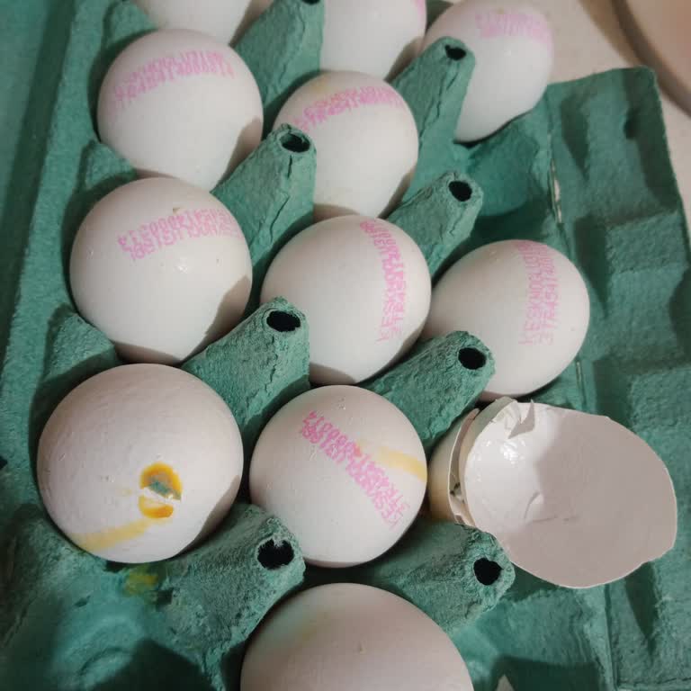 Boş Yumurta Ve Güven Sorunu