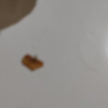 Yemekte Tehlikeli Kemik Parçaları