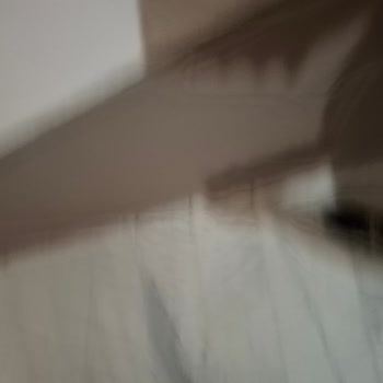 Salomon Ayakkabının Dış Yüzeyinde Erken Yırtılma Sorunu