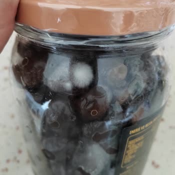 Kaanlar XL Gurme Zeytin Hayal Kırıklığı