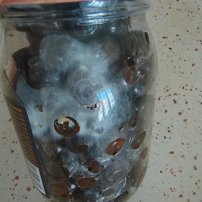 Kaanlar XL Gurme Zeytin Hayal Kırıklığı