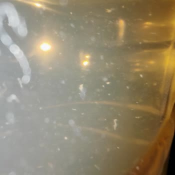 Çilek Aşkı Lipton ice Tea'de Garip Maddeler!