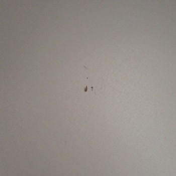 Satış Sonrası Destekte Hayal Kırıklığı: Garanti Sözleri Tutulmadı