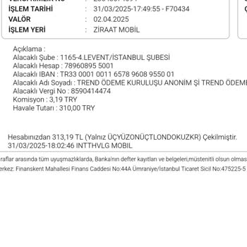 Havale Ödemesi Sorunu Ve Geri İade Talebi