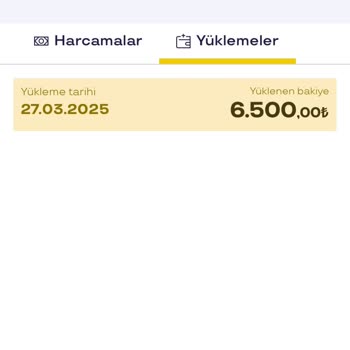 Sodexo Kodumun Bakiyesi Neden Geri Yüklenmedi?