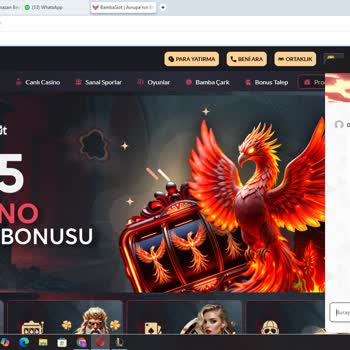 Müşteri Hizmetleri Hayal Kırıklığı Ve Bonus Sorunu