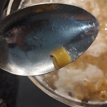 Makarnada Böcek Şoku: İnsan Sağlığı Tehlikede