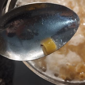 Makarnada Böcek Şoku: İnsan Sağlığı Tehlikede