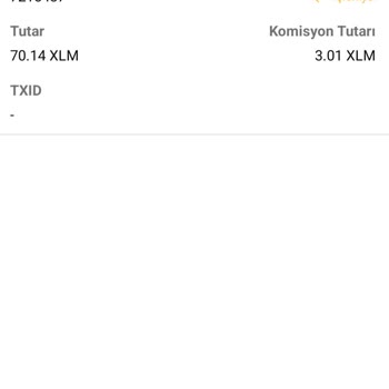 Bitci'de XLM Çekim İşlemi Gecikmesi
