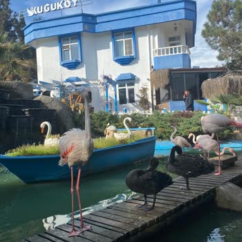 Güzel Ambiyansın Ardında Kötü Hizmet Ve Lezzet