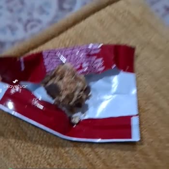 Ülker Çikolatalı Gofret Mini