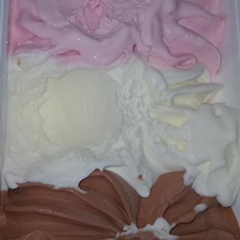 BİM'den Aldığım Dondurmada Böcek Şoku