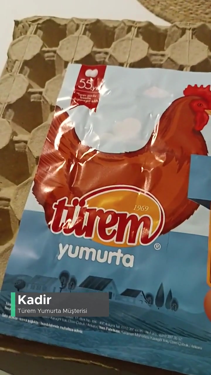 Türem Yumurtaların Hali! videonun kapak resmi