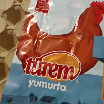 Türem Yumurtaların Hali!