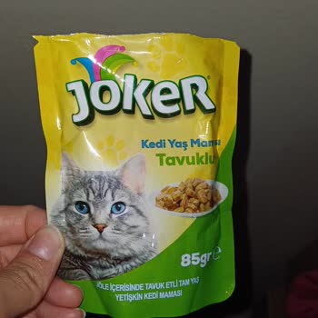 Bozuk Kedi Maması Ve İhmalkar Kontroller