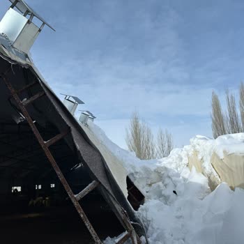 Ekin Çadır Yaptırdığım 46m×13m Olan Küçükbaş Çadırı Çöktü