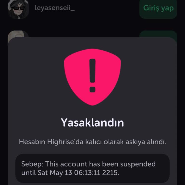 Highrise Uygulaması Hesabımı 2215 Yılına Kadar Kapattı!