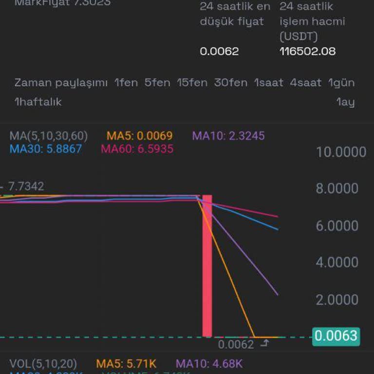 Onix Exchange Etrh Koininde Ani Kayıp: Yatırımcılar Mağdur