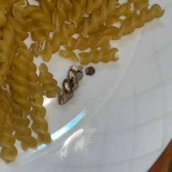 Şok Marketten Aldığım Makarna Sağlık Tehlikesi İçeriyor!