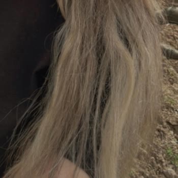 San Kuaför Kuaför Hizmetinde Beklenmeyen Sonuç: Saç Rengi Ve Sağlığı Sorunu