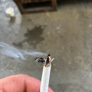 Parliament Sigara İçinden Çıkan Odun Çöpü Sorunu