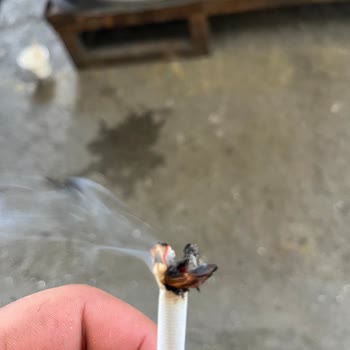 Parliament Sigara İçinden Çıkan Odun Çöpü Sorunu