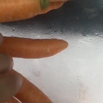 Arçelik Buzdolabı Sebzeliği Terletme Yapıyor