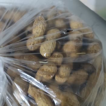 Kurtlu Fıstık Kabusu: Zaman Ve Emek Kaybı