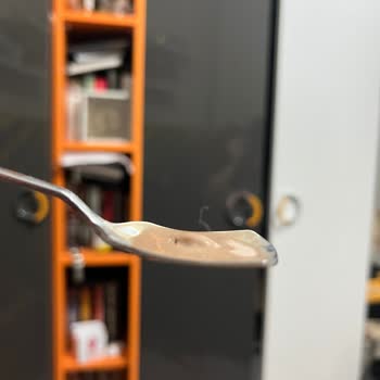 Dondurmada Hijyen Sorunu: Beyaz Kıl Şikayeti