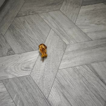 Booking.com Hayal Kırıklığı Dolu Kiralama Deneyimi