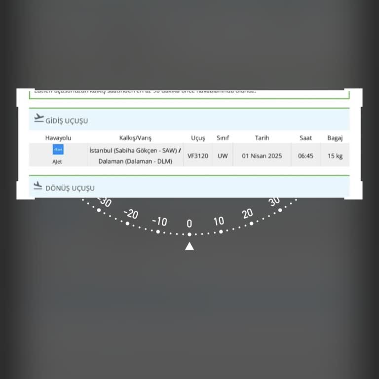 Ajet Uçuş İptali Ve Uzun Bekleme Süresi