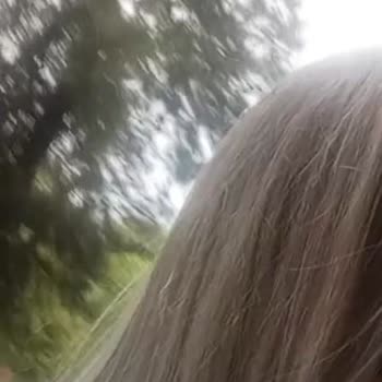 Saç Renkleri Kabusu: Beklentiler Ve Gerçekler