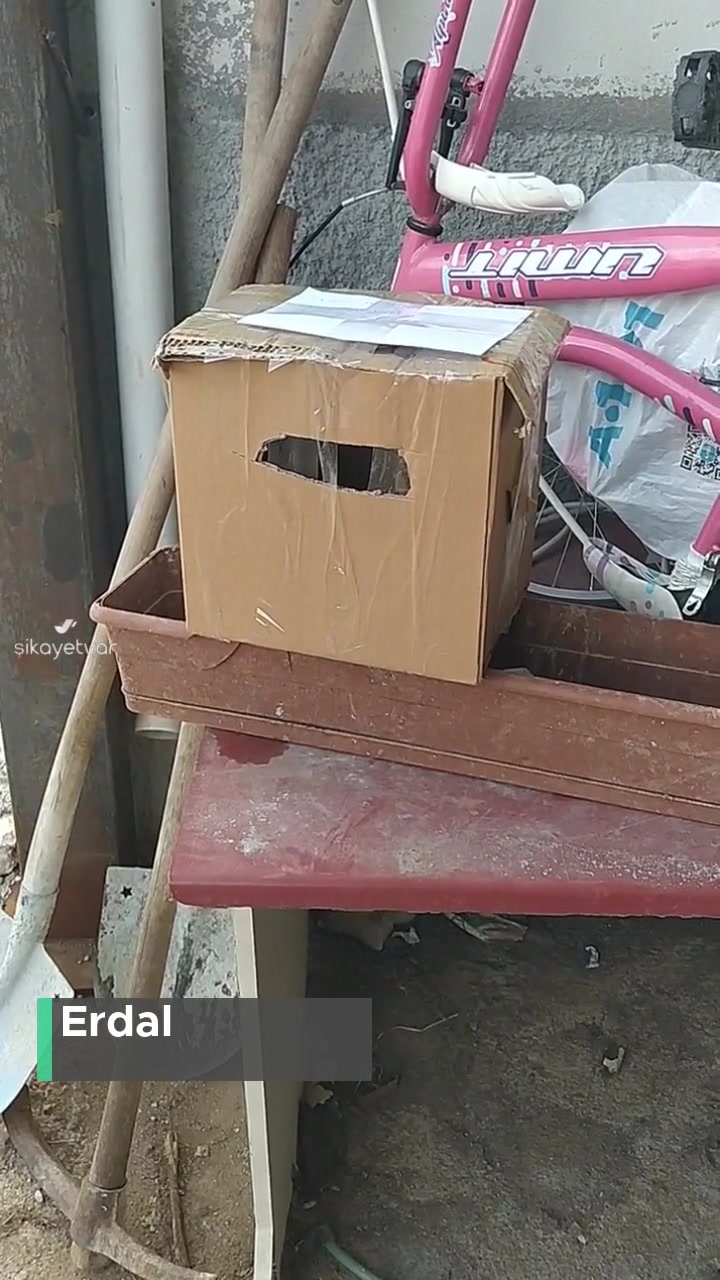 Öz Diyarbakır Seyahat Tarsus Bilet Görevlisinden Şikayetçiyim! videonun kapak resmi