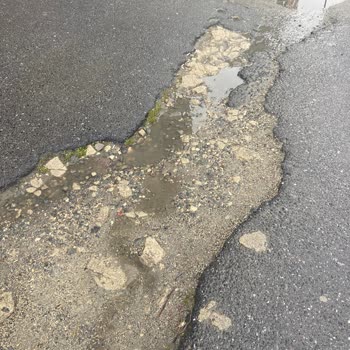 Engelli Erişimi İçin Acil Düzenleme Gerekiyor