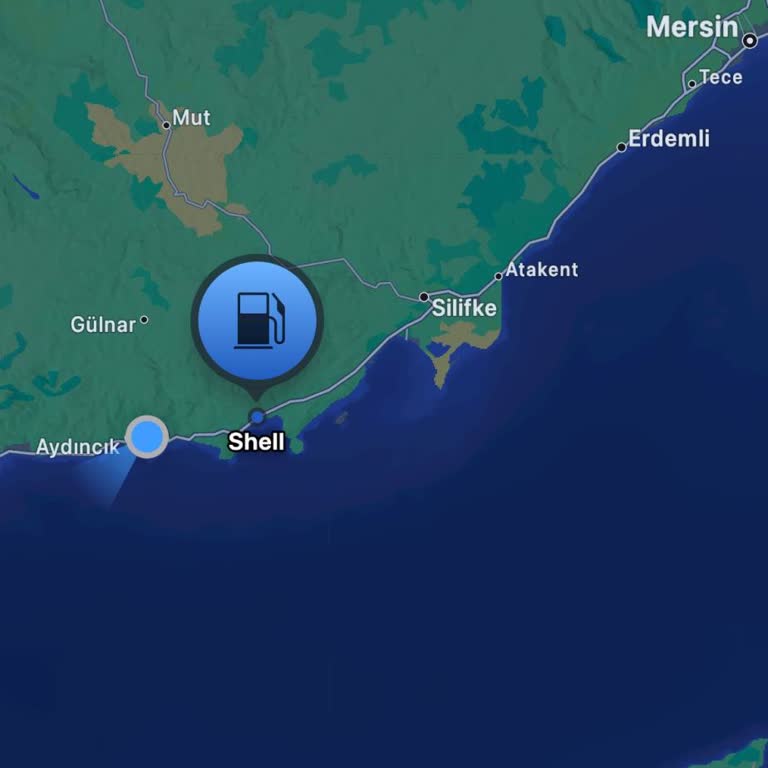 Shell İstasyonunda Yaşanan Hayal Kırıklığı